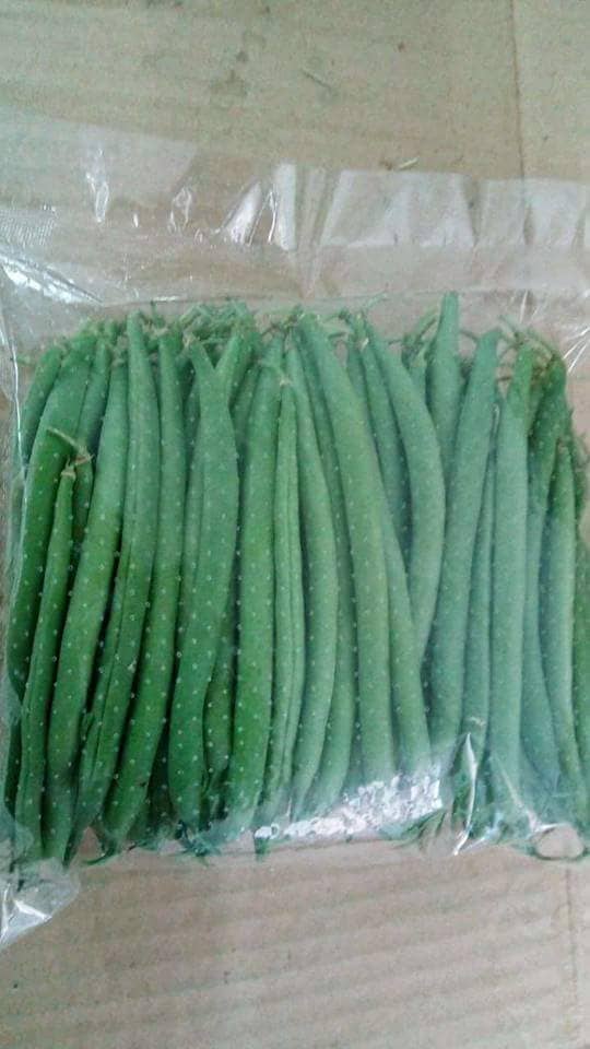 Aton Green Egypt Fresh Fruits & Vegetables